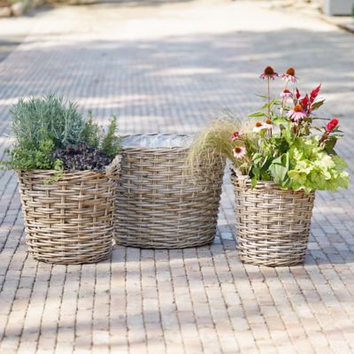 Woven Wicker Basket Planter Terrain