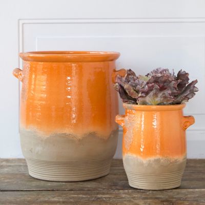 Dip Dye Terracotta Pot in House + Home Accents + Objects at Terrain