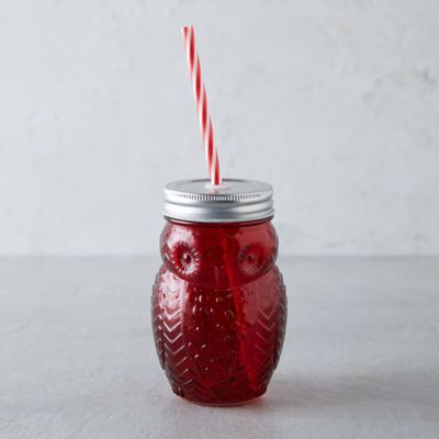 Owl Drinking Jar in House + Home Drinkware at Terrain