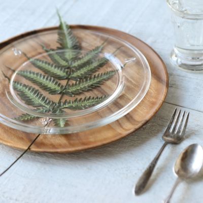 Preserved Ombre Fern Bunch