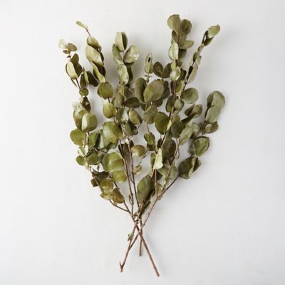 Preserved Eucalyptus Bunch Terrain