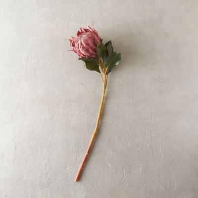Faux King Protea Stem in New House + Home at Terrain