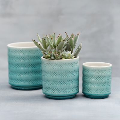 Crackled Dot Pot