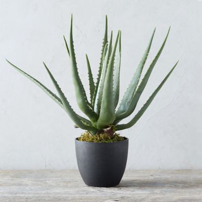 Faux Potted Aloe Plant