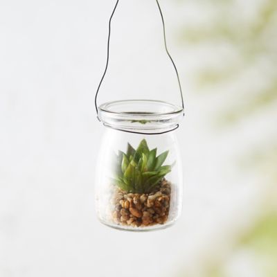 Faux Succulent, Hanging Glass Pot Terrain