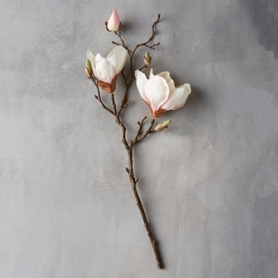 19” Faux Magnolia Branch, Cream Terrain