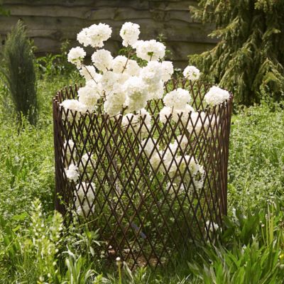 Woven Willow Expandable Circle Trellis Terrain