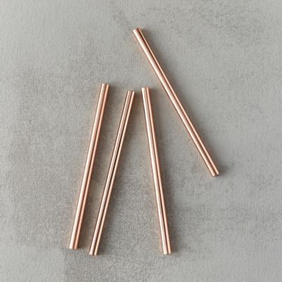 Stainless Steel Cocktail Straws Terrain