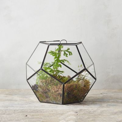 worksheet Terarium terrariums terrarium supplies terrain framed geode terrarium