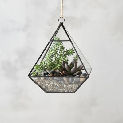 Image result for terrariums
