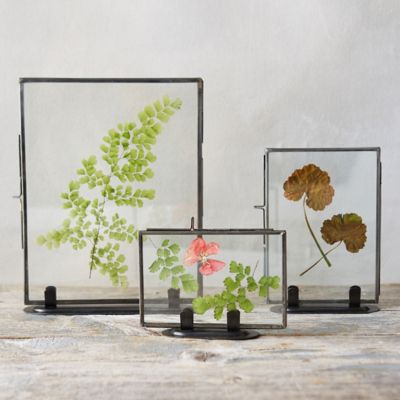 Standing Specimen Frame, Large