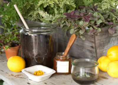How to: Farmaesthetics Coffee Scrub