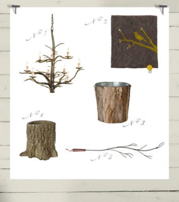 Collected: A Walk In The Woods