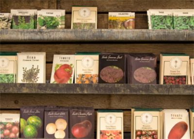 Tips from the Garden: Seed Saving