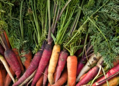 Tips from the Garden: Eating, not finishing
