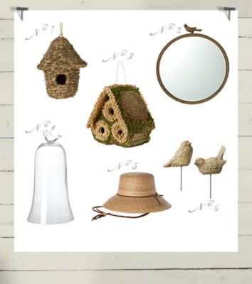 Collected: Gifts for the Bird Lover