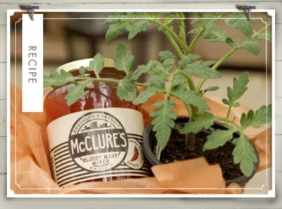 Recipe of the Week: McClure’s Spicy Shrimp