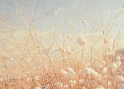 Saturday, 11/5: Holiday Open House