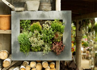 The Picture Garden: Mounting & Care
