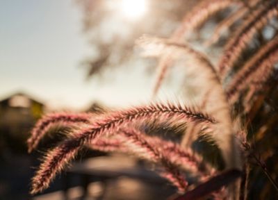 Autumn Moments at Terrain