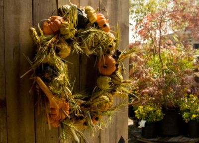 Glimpses of Fall at Terrain