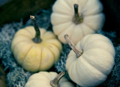 Pumpkin Carving Tips