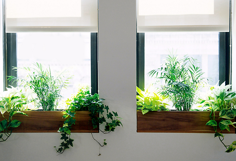 The Sill   Terrain: Planting a Window Box  The BLOG at Terrain