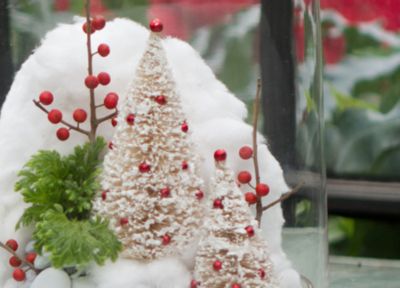 Wintry Gardens Under Glass
