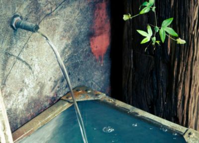 How-To:  Water Gardens