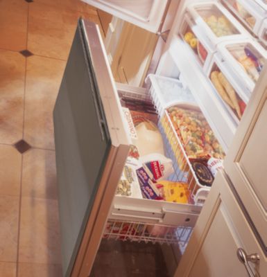 Built-In Bottom Freezer
