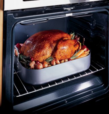 Lower oven interior