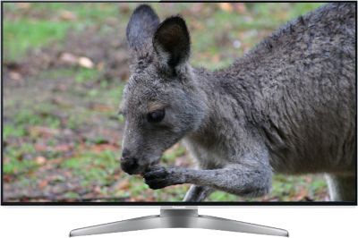 Panasonic TCL47WT50 Flat Screen TVs