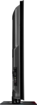 Profile view, right side