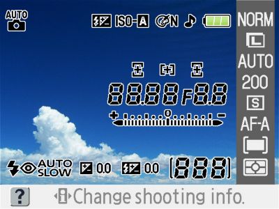 D40 LCD Display