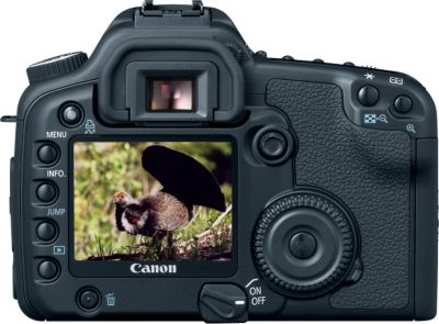 Back Of EOS 30D