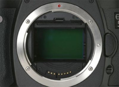 Canon EOS D5 -- Full-Frame, 12.8 Megapixel Sensor 