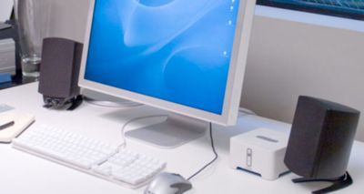 Installed view