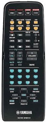 RX-497 Remote Control