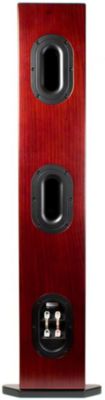 Single Speaker, Rear View