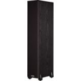 Polk TSI300 BLACK Speakers