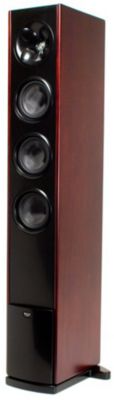 Single Speaker Shown With Grille Off