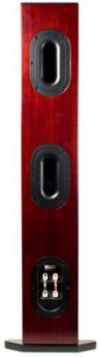 Single Speaker, Rear View