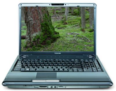 Toshiba P305-S8826. 17.1inch screen 250 GB hard drive black laptop Product (toshiba)