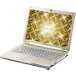 Sony VGN-CR320E/N Gold Laptops
