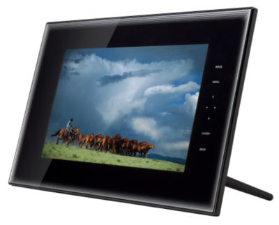 Toshiba DMF102XKU Digital Cameras