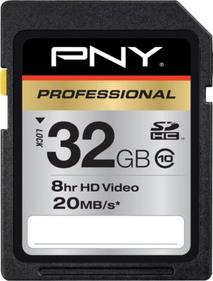 PNY PSDH32G10-EFS2