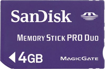 SanDisk SDMSPD-4096-A10 Digital Cameras
