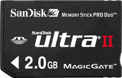 SanDisk SDMSPDH-2048 Digital Camcorders