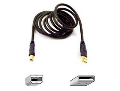 Belkin F3U133 10 GLD Computers