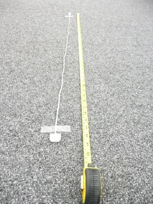 Over 3 feet!
